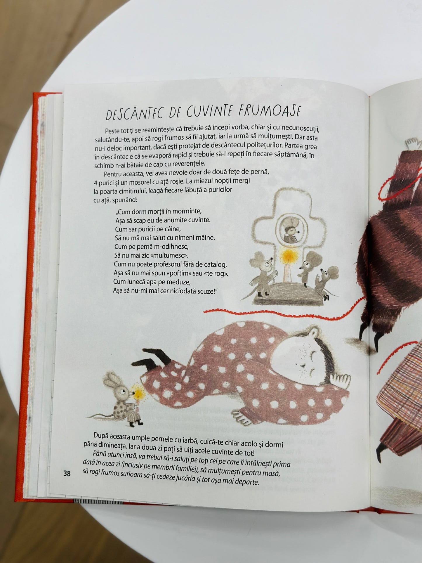 Descântece de bune maniere. Ionela Hadârcă

Ilustraţii de Veronica Neacşu