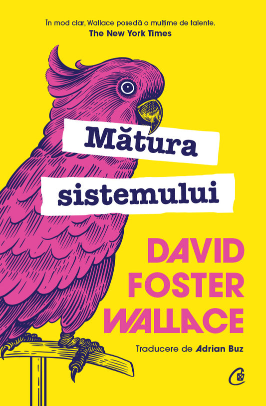 Matura sistemului DAVID FOSTER WALLACE