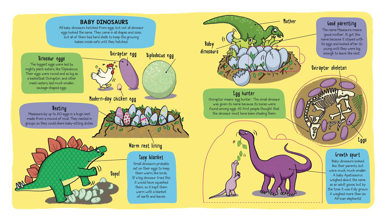 Little Explorers: Dinosaurs