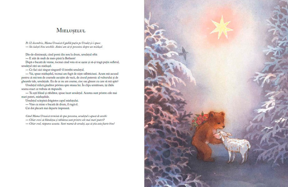 Când vine Crăciunul? de Antonie Schneider ilustrații de Maja Dusíková