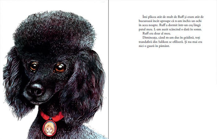 Cea mai iubită surioară de Astrid Lindgren ilustrații de Hans Arnold