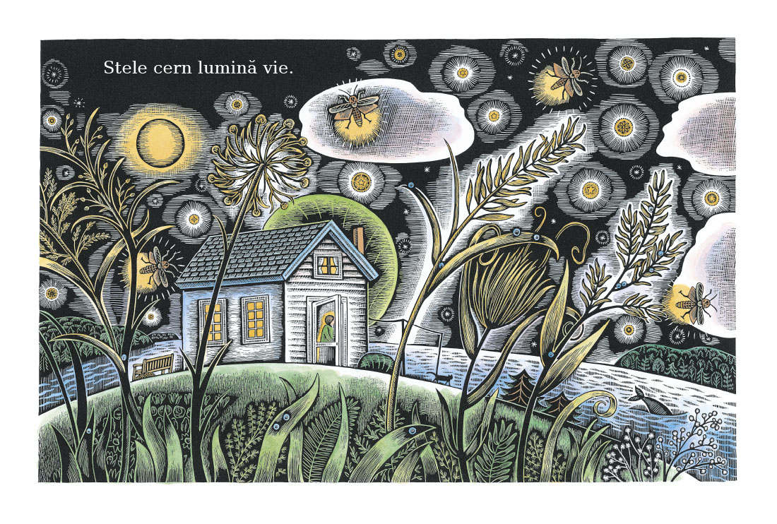 Cer de-albastru de Dianne White ilustrații de Beth Krommes