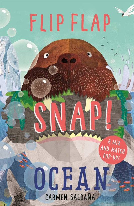 Flip Flap Snap: Ocean (Pop-out book)